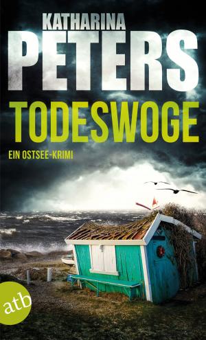 Cover of the book Todeswoge by Arne Blum