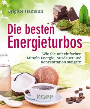 Cover of the book Die besten Energieturbos by Markus Gärtner