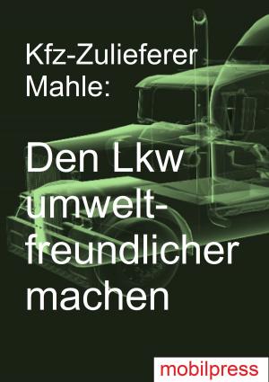 Cover of the book Den Lkw umweltfreundlichlicher machen by Gerd Zimmermann