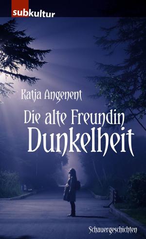 Cover of the book Die alte Freundin Dunkelheit by Jennifer Lucas