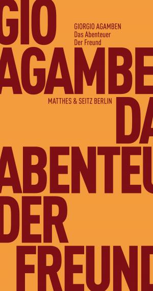 Cover of the book Das Abenteuer. Der Freund by Franco »Bifo« Berardi