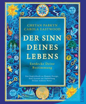 Book cover of Der Sinn Deines Lebens