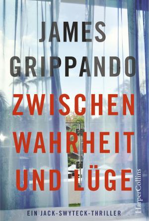 Book cover of Zwischen Wahrheit und Lüge