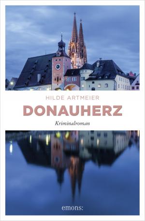 Cover of the book Donauherz by John Nicholas Iannuzzi
