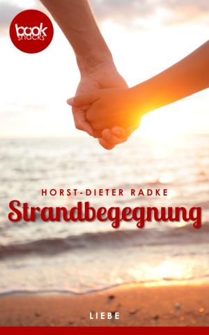 Book cover of Strandbegegnung (Kurzgeschichte, Liebe)