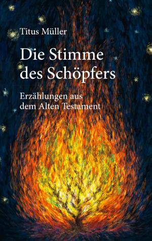 Cover of the book Die Stimme des Schöpfers by Thomas Franke