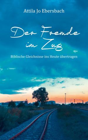 Cover of Der Fremde im Zug
