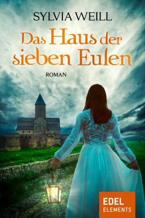 Cover of the book Das Haus der sieben Eulen by Susanne Fülscher