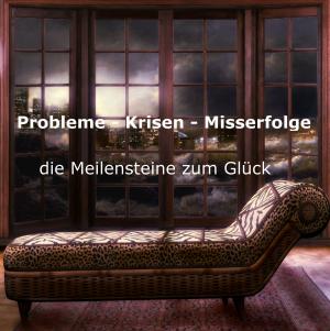 Cover of the book Probleme, Krisen, Misserfolge by Frauke Kabutzki