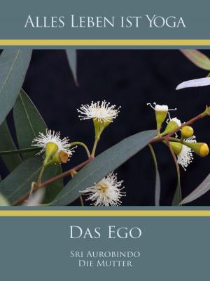 Cover of the book Das Ego by Hardy Manthey