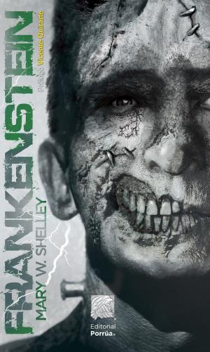 Cover of the book Frankenstein by Víctor Fernando Nieto del Valle