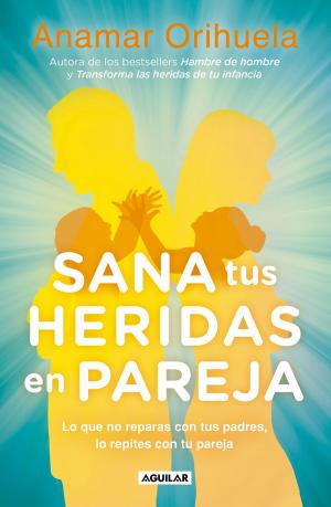 Cover of the book Sana tus heridas en pareja by Rogelio Guedea