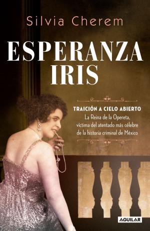 Cover of the book Esperanza Iris by Anabel Ochoa