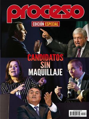 Book cover of Candidatos sin maquillaje
