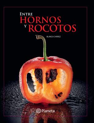Cover of the book Entre hornos y rocotos by Patricia Geller