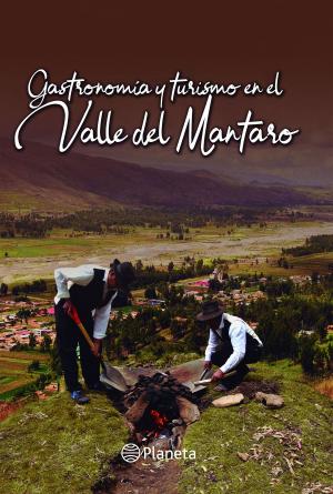 Cover of the book GASTRONOMÍA Y TURISMO EN EL VALLE DEL MANTARO by Reyes Monforte