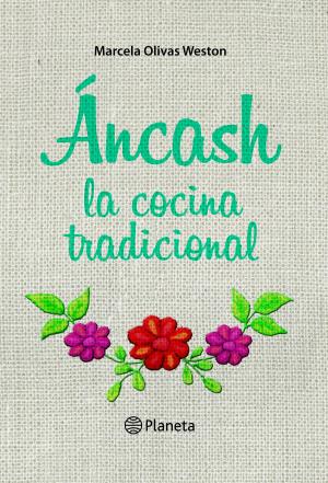 Cover of the book ÁNCASH by Fernando Blasco, Juan Medina