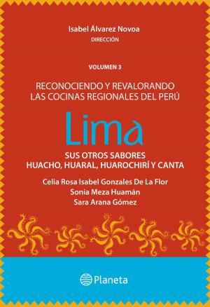 Cover of the book LIMA: Sus otros sabores by Steve Capellini, Michel Van Welden
