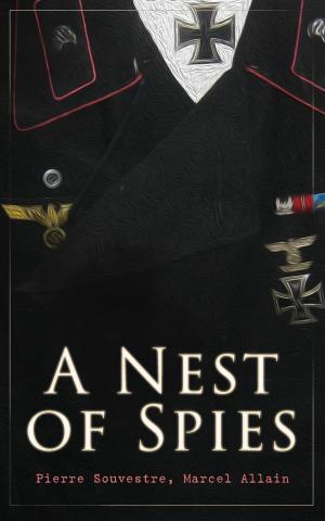 Cover of the book A Nest of Spies by Guy de Maupassant