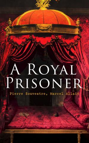 Cover of the book A Royal Prisoner by Michael F. Stewart