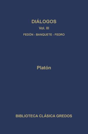 Cover of the book Diálogos III by Varios Autores, Varios