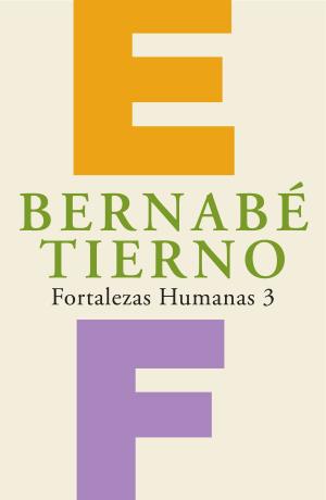 Cover of the book Fortalezas Humanas 3 by Nieves Hidalgo