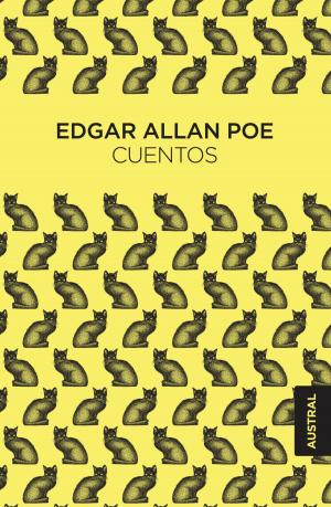 Cover of the book Cuentos by Miguel Ángel Delgado