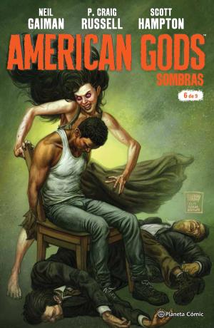 Cover of the book American Gods Sombras nº 06/09 by David Foenkinos