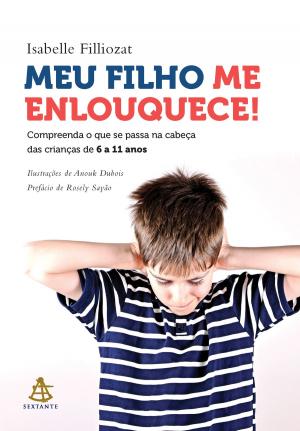 Cover of the book Meu filho me enlouquece! by Augusto Cury