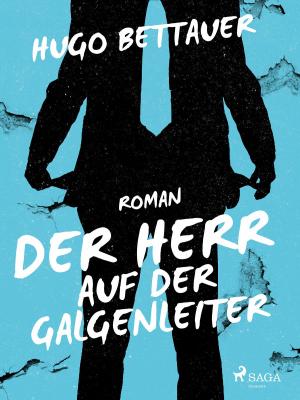 Book cover of Der Herr auf der Galgenleiter