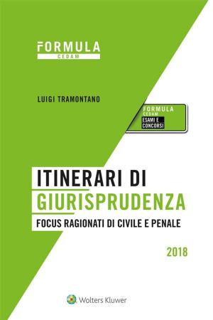 Cover of the book Itinerari di giurisprudenza - Focus ragionati di civile e penale by Brandolini Elena (a cura di)
