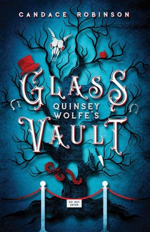 Cover of the book Quinsey Wolfe's Glass Vault by Nicole Knapp