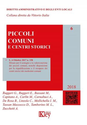 Cover of the book I piccoli comuni by Jean de Codt
