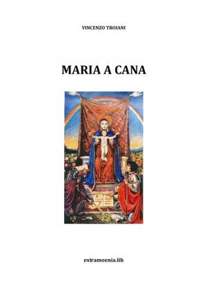 Cover of the book Maria a Cana by Diane Stein, Diane Stein