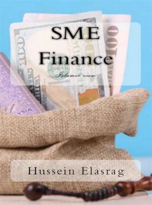 Cover of the book SME Finance by Emmanuel Fauvel