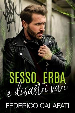 Cover of the book Sesso, erba e disastri vari 2:The windflow Project by Federico Calafati
