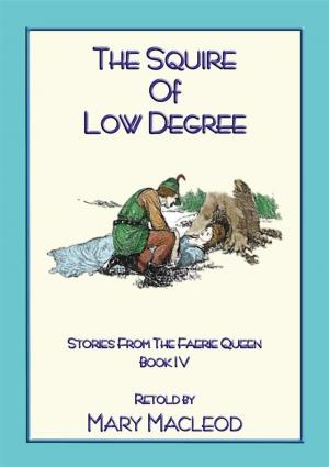Cover of the book THE SQUIRE OF LOW DEGREE - Book 4 from the Stories of the Faerie Queene by Anon E. Mouse, Compiled by Dr. Ignacz Kunos, Illustrated by Willy Pogany