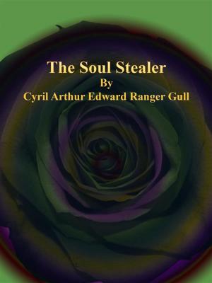 Cover of the book The Soul Stealer by Delia Austrian