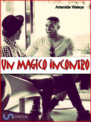 Cover of Un magico incontro