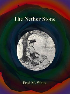 Book cover of The Nether Stone