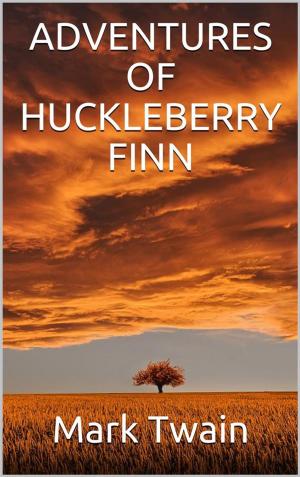 Cover of the book Adventures of Huckleberry Finn by Daniel Lander