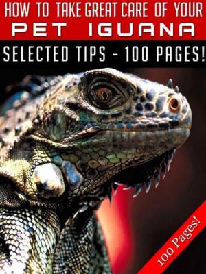 Book cover of How To Take Great Care Of Your Pet Iguana