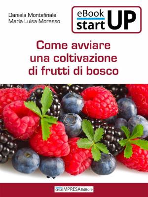 Cover of the book Come avviare un'attività di coltivazione di frutti di bosco by Maria Luisa Morasso, Daniela Montefinale