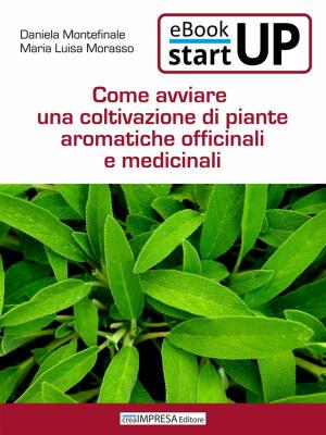 Cover of the book Come avviare una coltivazione di piante aromatiche, officinali e medicinali by Daniela Montefinale, Maria Luisa Morasso