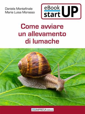 Cover of the book Come avviare un allevamento di lumache by David Margolis