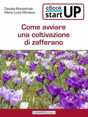 Cover of the book Come avviare una coltivazione di zafferano by Maria Luisa Morasso, Daniela Montefinale