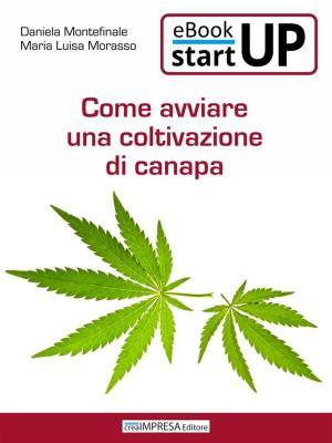 Cover of the book Come avviare una coltivazione di Canapa by Daniela Montefinale, Maria Luisa Morasso