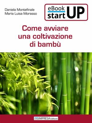Cover of the book Come avviare una coltivazione di Bambù by Maria Luisa Morasso, Daniela Montefinale