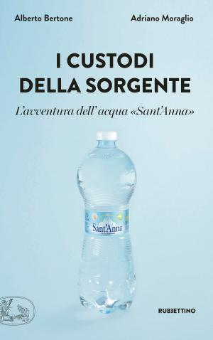 Cover of the book I custodi della sorgente by Luca Nannipieri