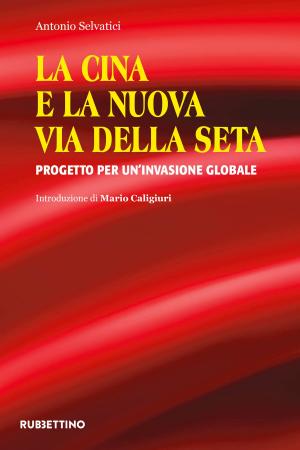 Cover of the book La Cina e la Nuova Via della Seta by Erminio Amelio